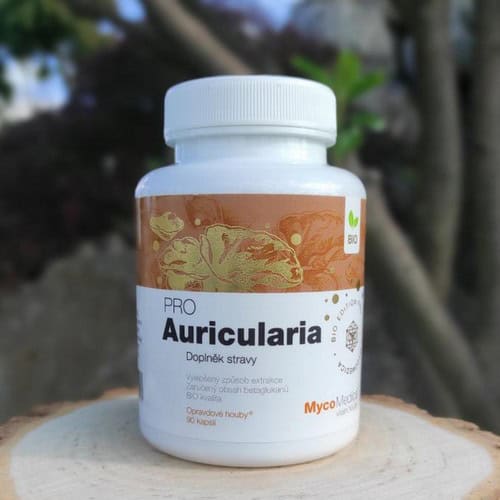 Jidášovo ucho - Auricularia PRO